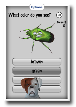 Question Screenshot from Shape and Colors